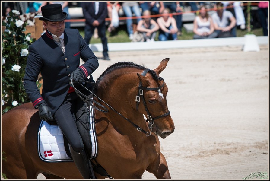 Pferd International 078